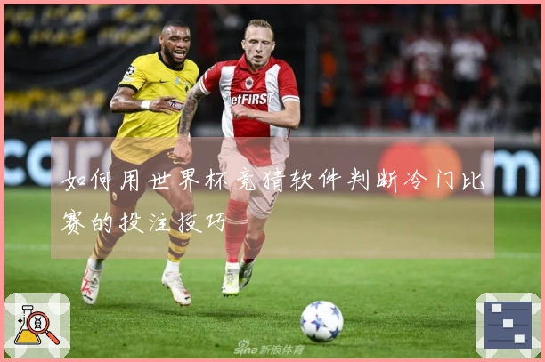 如何用世界杯竞猜软件判断冷门比赛的投注技巧