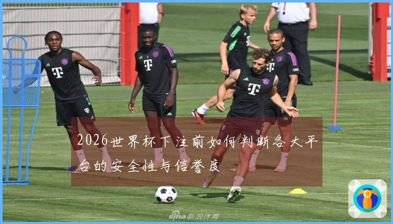 2026世界杯下注前如何判断各大平台的安全性与信誉度