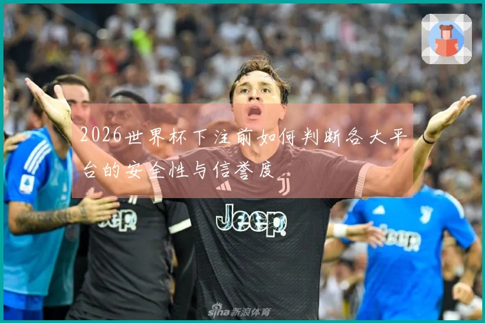 2026世界杯下注前如何判断各大平台的安全性与信誉度
