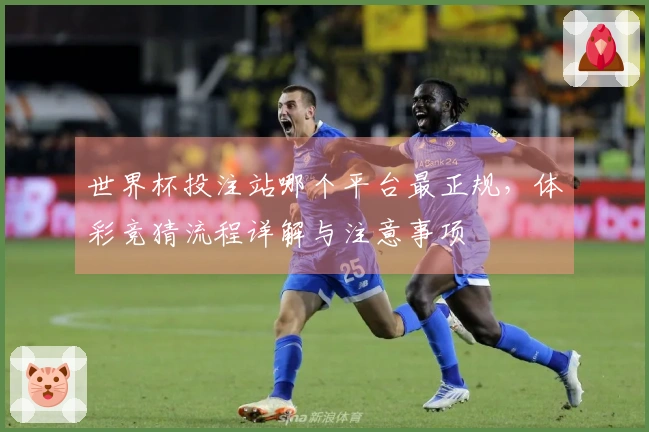 世界杯投注站哪个平台最正规，体彩竞猜流程详解与注意事项