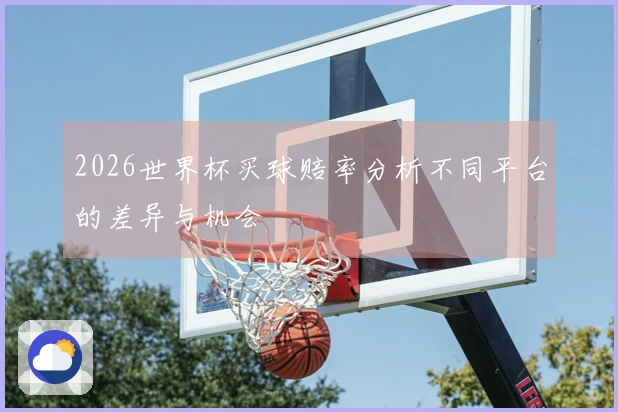 2026世界杯买球赔率分析不同平台的差异与机会